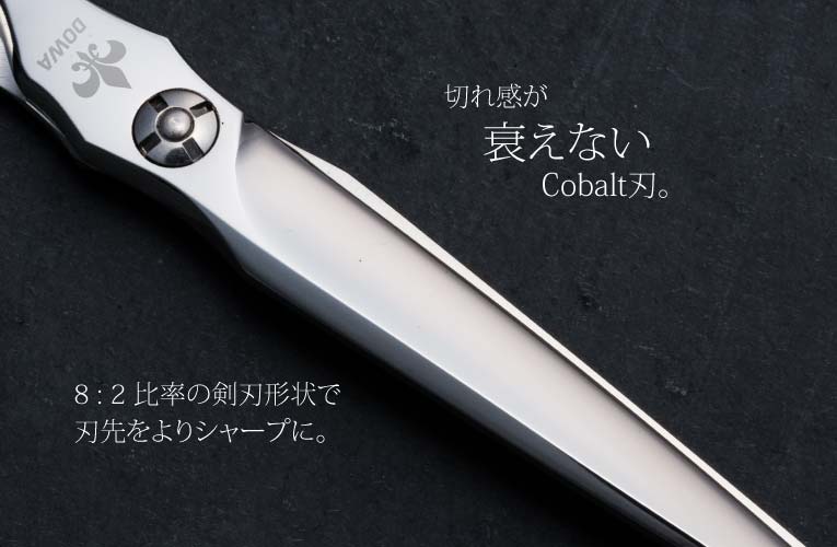 コバルト GTX-S 切れ味長持ち 8：2特殊剣刃