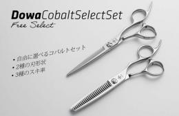 DOWA Cobalt Select Set
コバルト セレクト セット