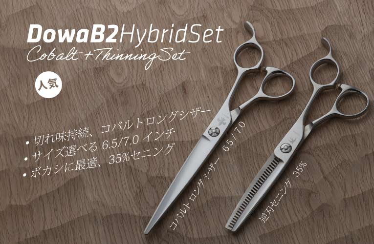 B2 Hybrid Set ハイブリッド セット