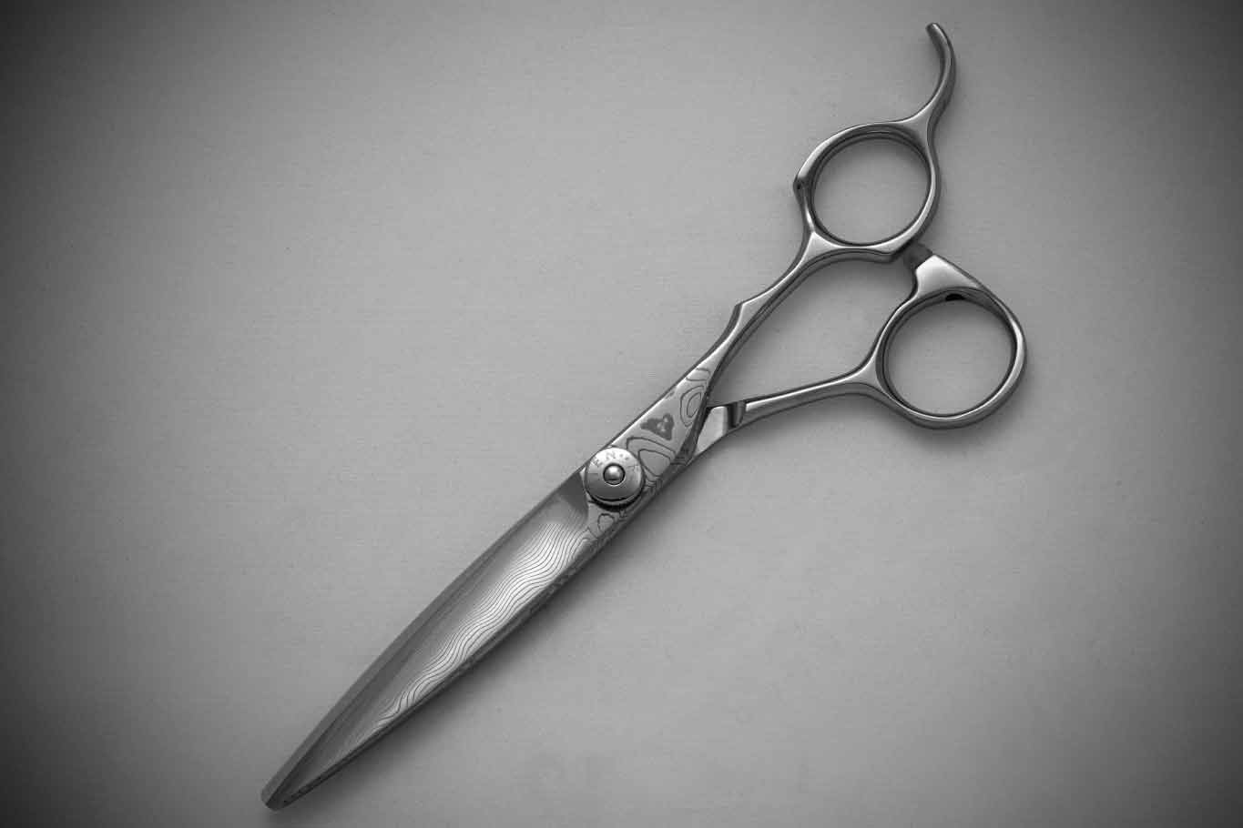 飛燕 hien-scissors シザー | nate-hospital.com