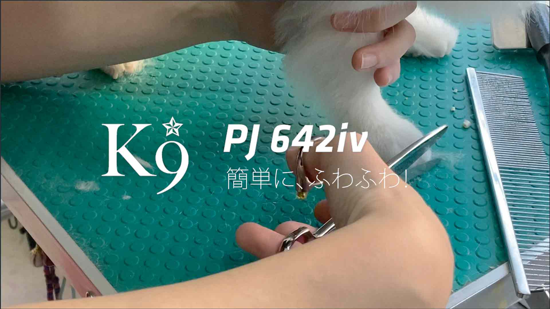 Pet Triming PJ 642IV セニング ペット・トリミング|美容ハサミ Pet Triming PJ 642IV セニング ペット・トリミング|美容ハサミ